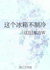 这个冰箱不制冷封面