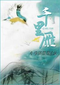 千里雁封面