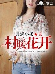 村暖花开楚传宗李桃花封面