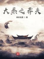大秦之莽夫封面