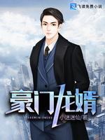 豪门龙婿封面