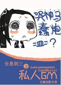 全息剑三之私人GM封面