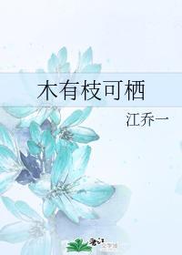 木有枝可栖封面
