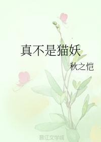 真不是猫妖封面