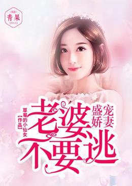 盛宠娇妻：老婆不要逃封面