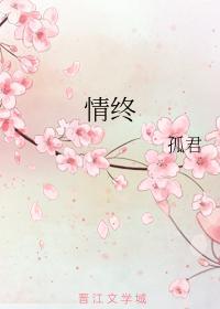 情终封面