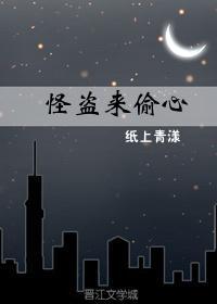 怪盗来偷心封面