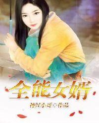 全能女婿封面