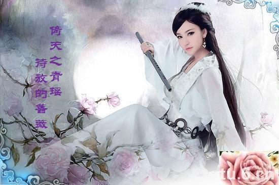 倚天之青瑶封面