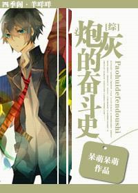 炮灰的奋斗史封面