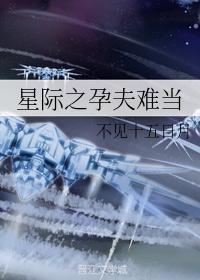 星际之孕夫难当封面