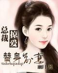 总裁的掠妻游戏封面