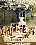 锦都花雾封面