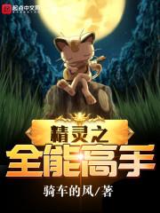 精灵之全能高手封面