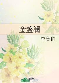 金盏澜封面
