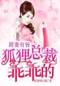 甜妻有旨：狐貍总裁乖乖的封面