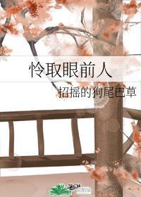 怜取眼前人封面