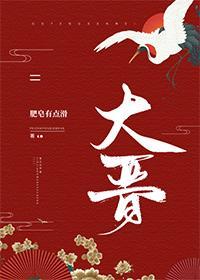 大晋封面