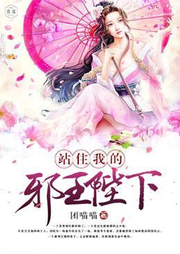 站住，我的邪王陛下封面