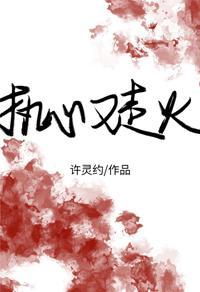 执心又走火[刑侦]封面