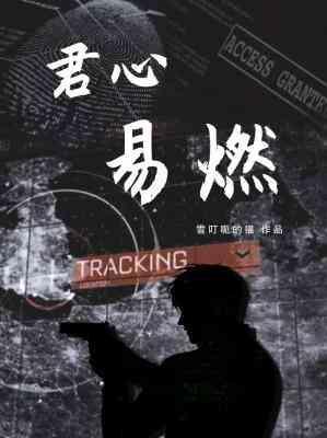君心易燃【刑侦缉毒】封面