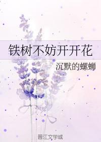 铁树不妨开开花封面