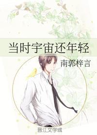 当时宇宙还年轻封面