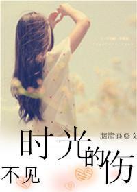 不见时光的伤封面
