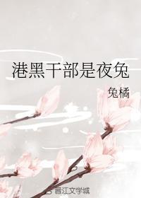 港黑干部是夜兔封面