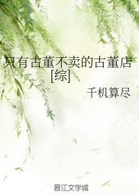 只有古董不卖的古董店[综]封面