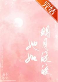 她如明月皎皎封面