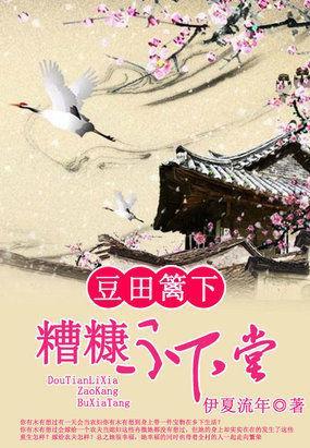 豆田篱下：糟糠不下堂封面
