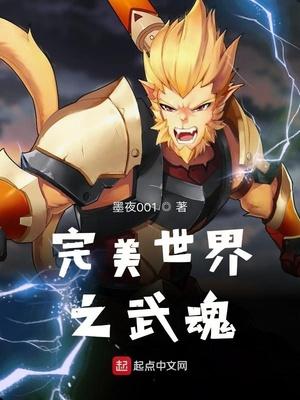 完美世界之重生石昊封面