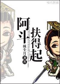 阿斗扶得起封面