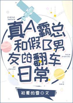 真A假B封面