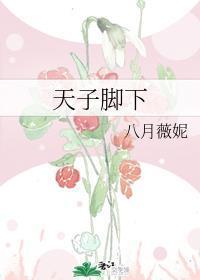 天子脚下封面