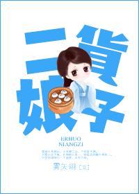二货娘子封面