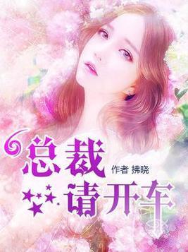 总裁请开车封面