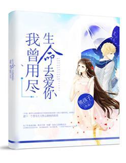 我曾用尽生命去爱你封面