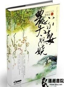 农家有女太妖娆封面