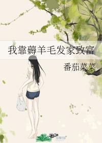 我靠薅羊毛发家致富封面