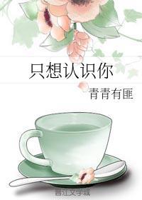 只想认识你封面
