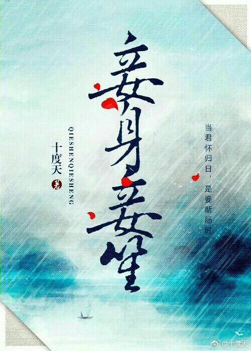 妾身妾笙封面