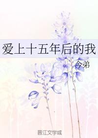 爱上十五年后的我封面