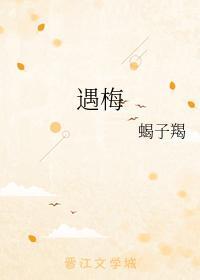 遇梅封面