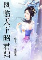 凤临天下昭君归封面