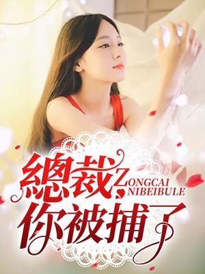 总裁,你被捕了封面