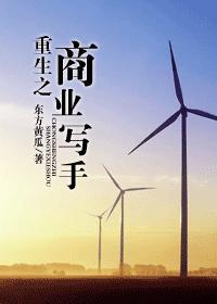 重生之商业写手封面
