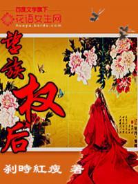 后宫风云封面