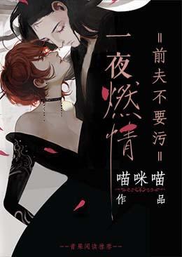一夜燃情,前夫不要污封面